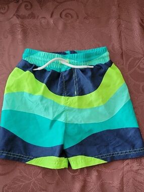 Blue & Lime Wave Stripe Swim Trunks